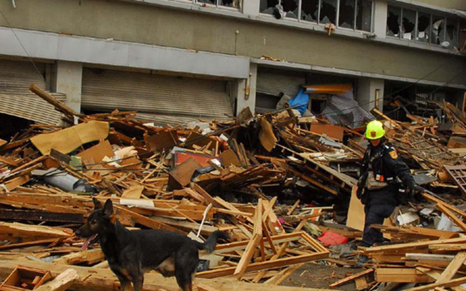 Atticus, a trained rescue dog, and her owner Jennifer Massey, a canine search specialist with Virginia's Fairfax County Search and Rescue, climb over rubble Tuesday morning searching for survivors of deadly tsunamis in Ofunato, Japan, a city of 41,000 about 260 miles northeast of Tokyo.