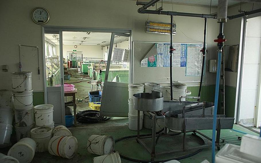 An oyster facility on the Matsushima coast sits battered and unused.