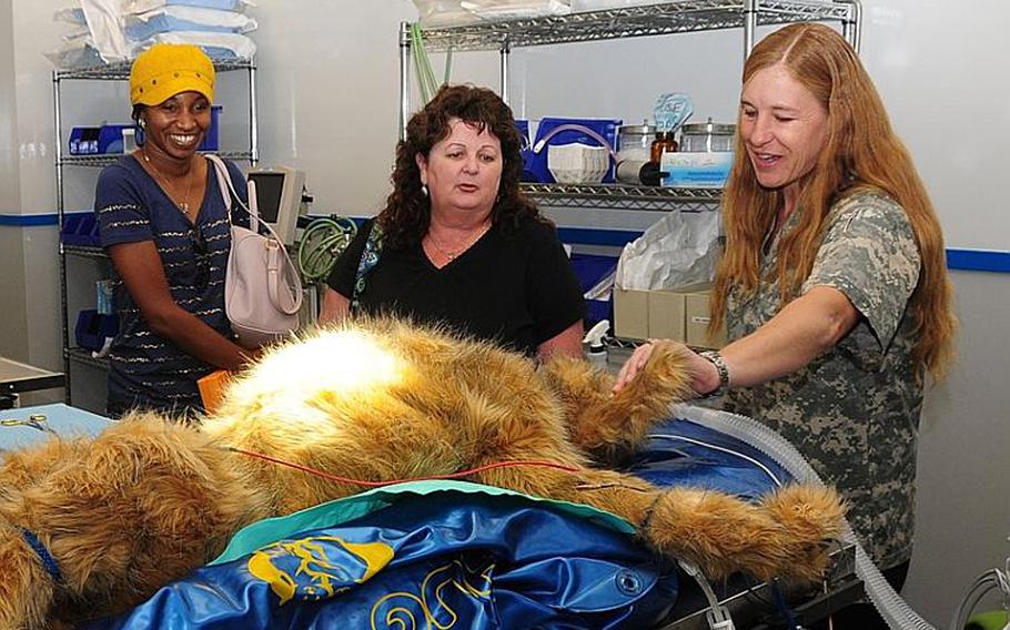 Holley Workman, left, and Theresa Amlong, middle, are shown one of the seven new surgery rooms by Kim Carter, a civilian veterinary technician during an open house in April to allow the public to see the new facility before it officially opened. A dummy training dog was set up to show visitors an example of a surgery using new equipment purchased as part of the newly renovated Okinawa Veterinary Treatment Facility.
