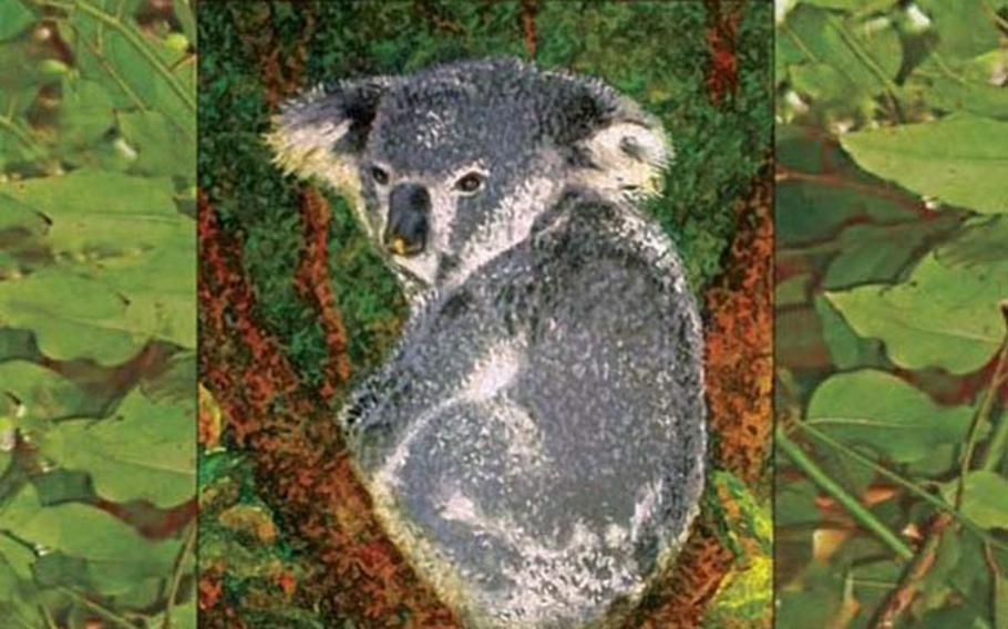 Quintana?s first book for children, &#39;Tiwi, The Lost Baby Koala of Magnetic Island, Australia.&#39;