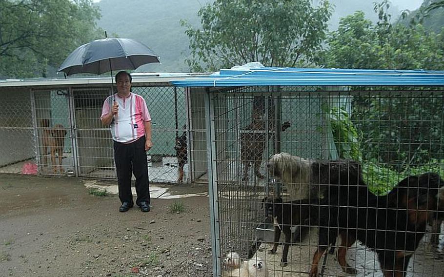 Kim Kwang-su, the mayor of Golsandong in South Korea, poses near the cages that are home to some of the dogs he raises in his small village adjacent to the U.S. military's Camp Casey.