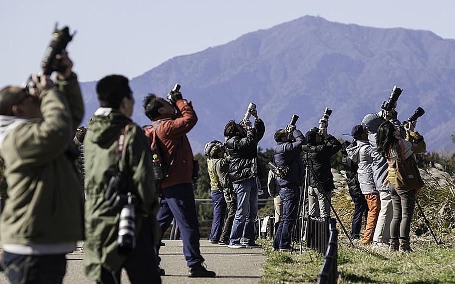 Groups of aircraft enthusiasts nicknamed ``tailwatchers`` photograph aircraft outside Naval Air Facility, Atsugi, Japan on Nov. 27, 2012.