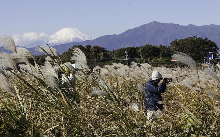 A photographer wades into the reeds for a better shot of aircraft taking off from Naval Air Facility, Atsugi on Nov. 27, 2012.
