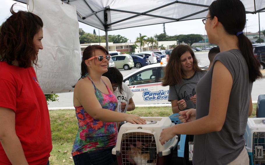 Volunteers discuss the current animals in foster care during an adoption event on Kadena Air Base, Okinawa, Sept. 7, 2013.