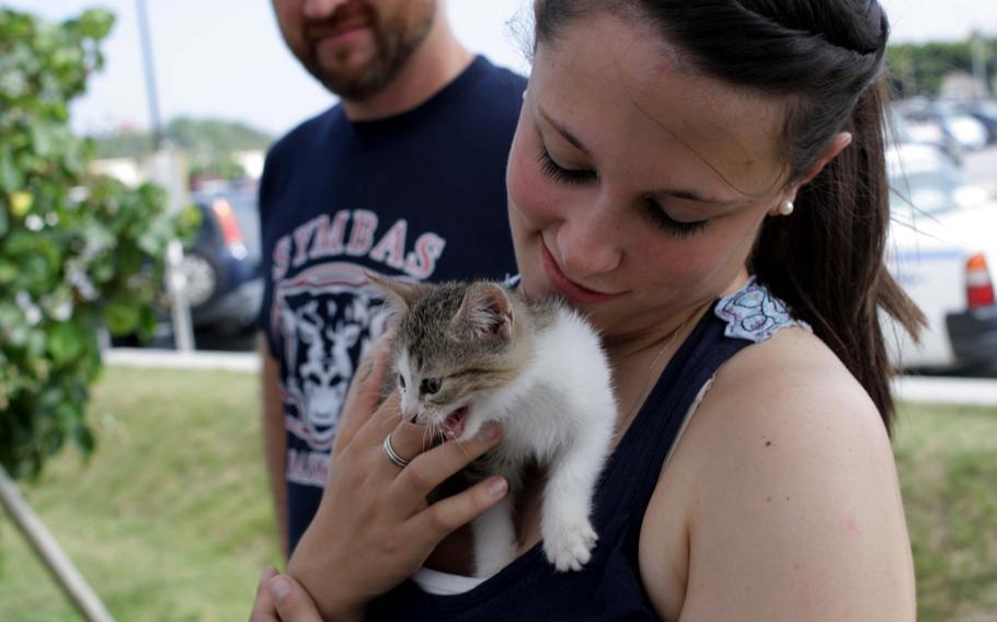 Marine Pfc. Melissa McCormack, an aircraft maintenance specialist with Marine Aviation Logistics Squadron 36, cuddles with kitten Marie during an adoption event on Kadena Air Base, Okinawa, Sept. 7, 2013.