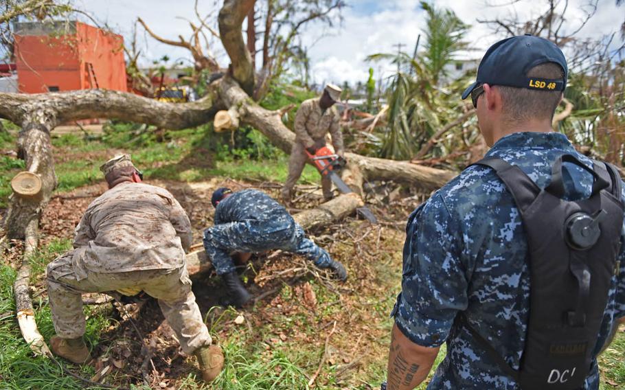 Marines from the 31st Marine Expeditionary Unit and sailors from the amphibious dock landing ship USS Ashland clear a fallen tree during a community service project Aug. 14, 2015, at Garapan Elementary School in Saipan after Typhoon Soudelor. The 36th Contingency Response Group from Andersen Air Force Base, Guam, will continue to unload supplies from airplanes through Sept. 6, 2015.