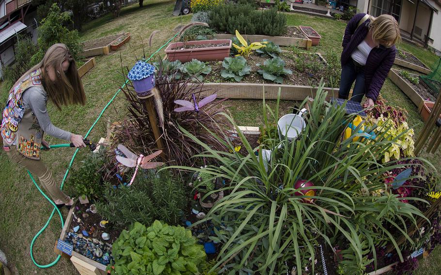 Yokota High School student Emma Remley works in a sensory garden she designed at Yokota Air Base, Japan, Monday, Nov. 26, 2018.