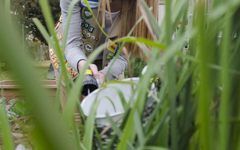 Yokota High School sophomore Emma Remley tends the sensory garden she designed at Yokota Air Base, Japan, Monday, Nov. 26, 2018.