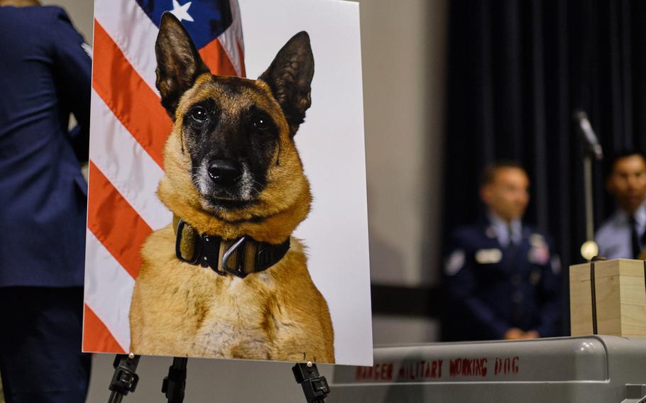 An official photo of military working dog Ooyvey of the 8th Security Forces Squadron is displayed at a memorial ceremony on Kunsan Air Base, South Korea, Wednesday, June 19, 2019.