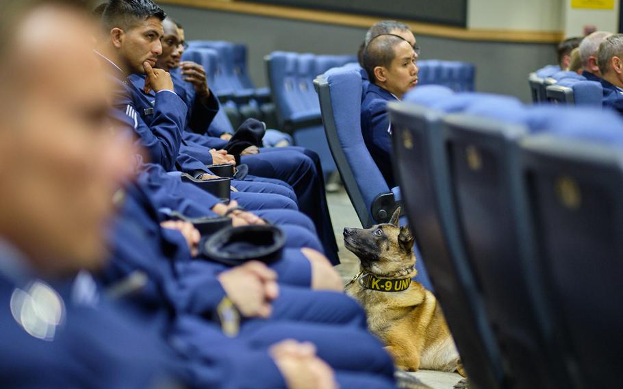 Airmen, some with K-9 working dogs, listen as Ooyvey of the 8th Security Forces Squadron is honored and remembered during a memorial ceremony on Kunsan Air Base, South Korea, Wednesday, June 19, 2019.