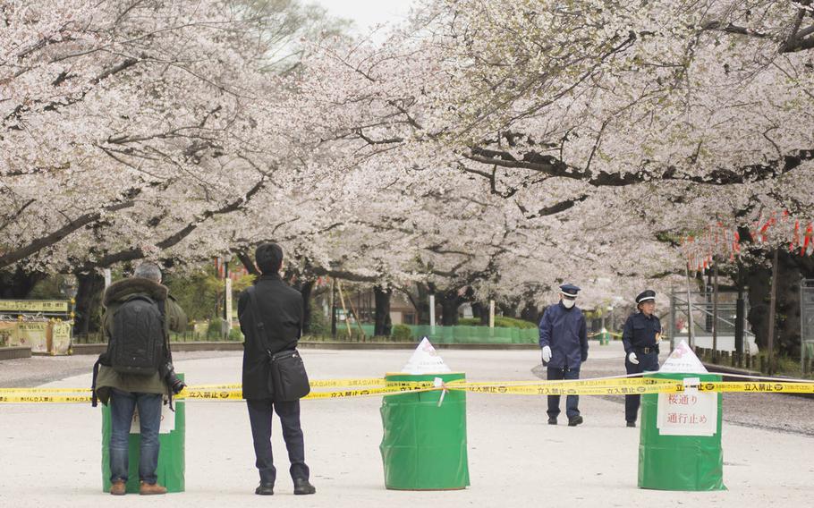 People check out cherry blossoms, which have been blocked off because of the coronavirus pandemic, at Ueno Park in Tokyo, Monday, March 30, 2020.