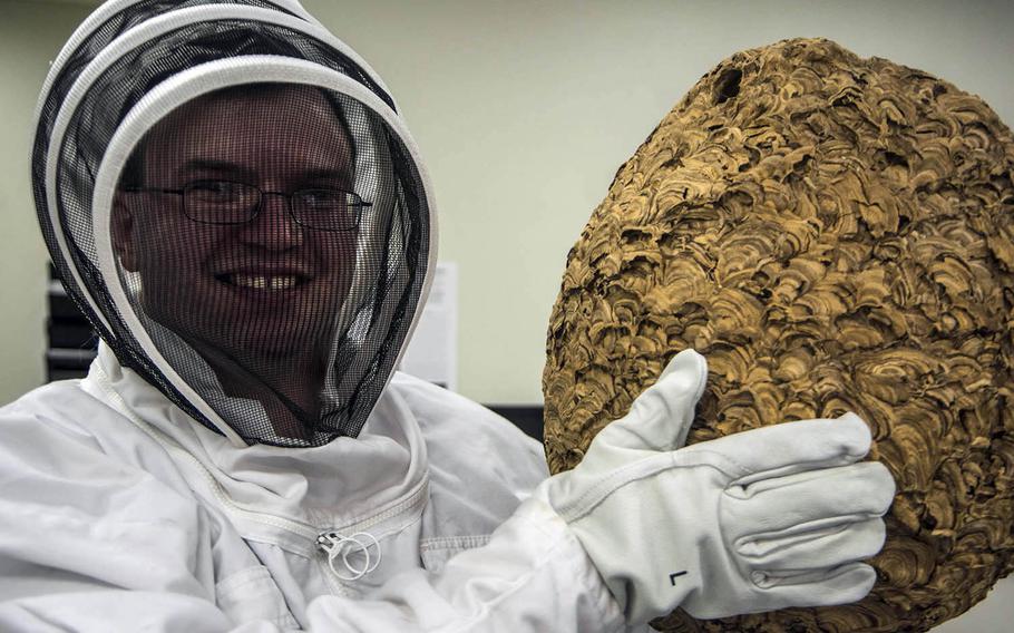 Staff Sgt. Vincent Sarver, an entomologist at Yokota Air Base in western Tokyo, poses with an Asian giant hornet nest, Monday, May 18, 2020.