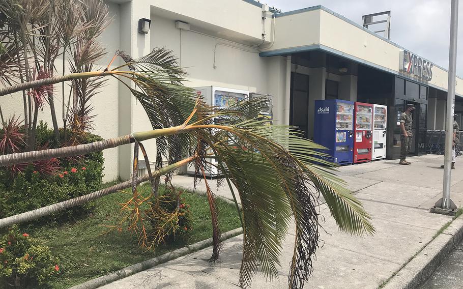 Typhoon Maysak knocked down trees on U.S. bases in Okinawa, inflicted minor damage to facilities and left some Marines without power on Tuesday, Sept. 1, 2020. 