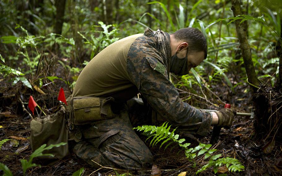 Marine Staff Sgt. Aaron Birdwell, an explosive ordnance disposal technician with Task Force Koa Moana, searches for unexploded ordinance near an airfield in Palau, Aug. 4, 2020. 
