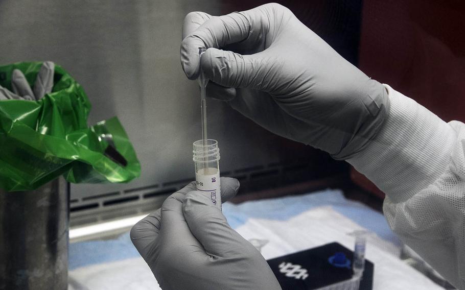 Navy Petty Officer 2nd Class Anthony Ohlson, a hospitalman with the 3rd Medical Battalion, removes a DNA sample to be tested for the coronavirus at U.S. Naval Hospital Okinawa, Sept. 9, 2020.