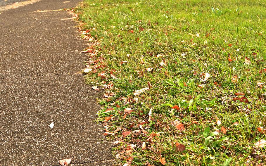 Properly disposing of masks and other trash can help stem the spread of the coronavirus, according to an Air Force official at Yokota Air Base, Japan.