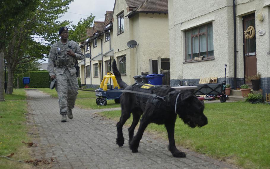 Staff Sgt. Dominick Young, dog handler, 100th Security Forces Squadron, patrols the on-base housing area with his partner Brock at RAF Mildenhall, England, Friday, July 28, 2017.