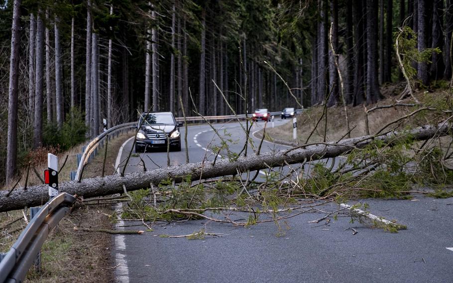 A tree blocks a road in the Taunus region in a strong storm near Frankfurt, Germany, Sunday, Feb. 9, 2020. 
