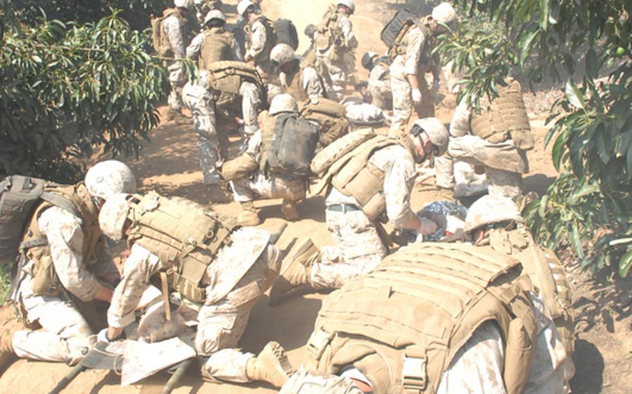 Members of the 1st Marine Division work on pigs during a mass casualty exercise during combat medic training. U.S. Army Europe officials are negotiating with the German government to carry out similar medical training on live animals as troops prepare for downrange deployments.