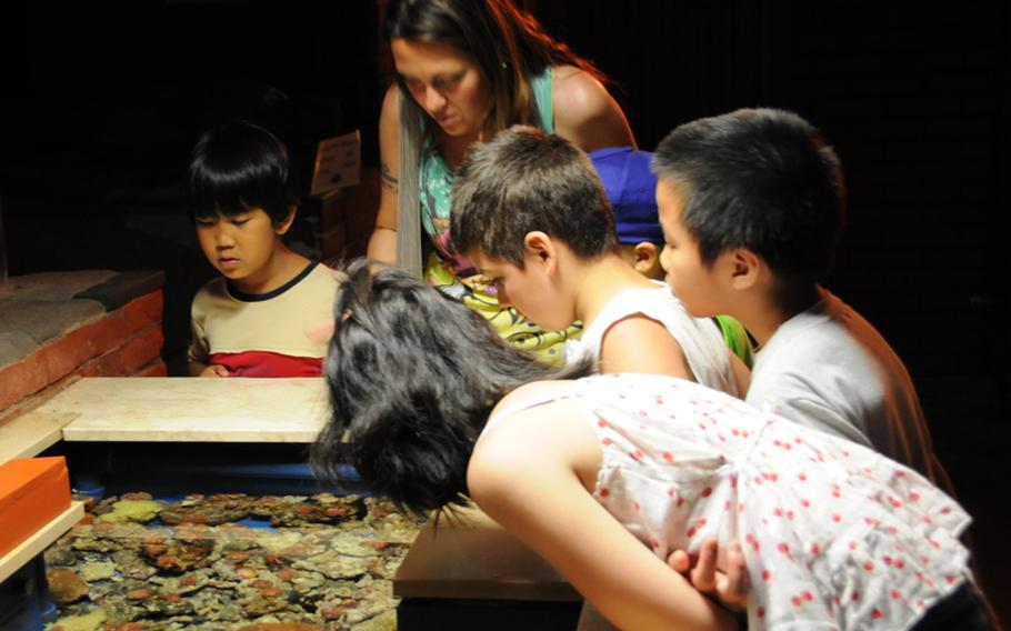 Visitors to the aquarium at the Stazione Zoologica Anton Dohrn
peer into an open tank to get a good look at small crabs. School groups are frequent visitors to the aquarium.