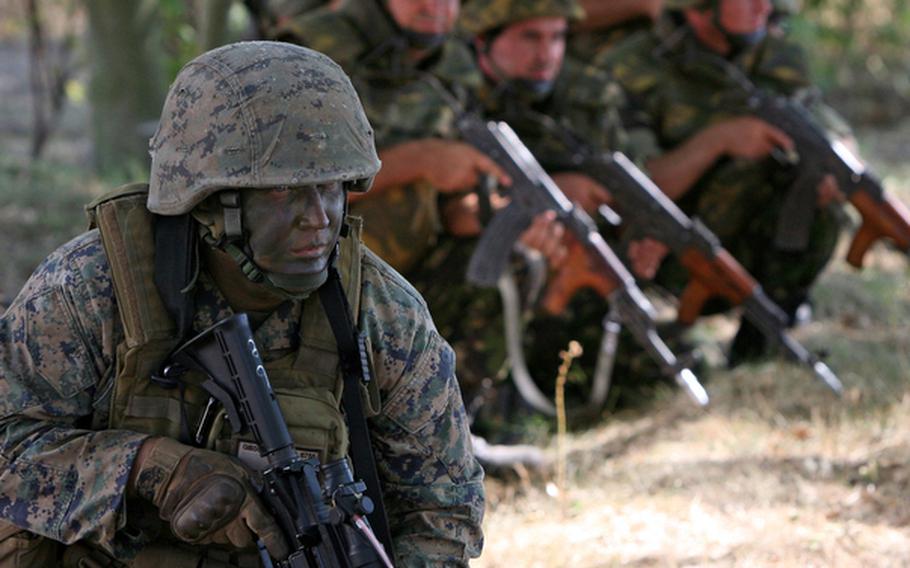 In front of Romanian Marines, Lance Cpl. Nathan Gibson, Black Sea Rotational Force 11, waits  to perform a counterinsurgency demonstration during the closing ceremony of the Marines five-month deployment in eastern Europe earlier this year. The task force of U.S.-based Marines conducted training missions with numerous militaries in the region, including troops from Romania, Bulgaria, the Republic of Georgia, Moldova, Ukraine, Macedonia, Serbia, Azerbaijan, Greece, Bosnia, Albania, Montenegro and Croatia.