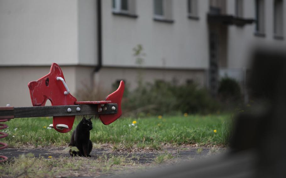 A cat sits under unused equipment at a weed-choked playground at the U.S. Army's Mark Twain Village housing area, which will soon be returned to German control. The Army held its final retreat ceremony nearby Friday, symbolizing the end of the Army's nearly seven decades in Heidelberg.