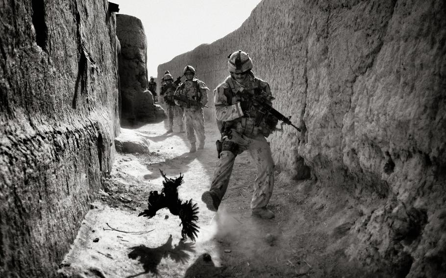 A Canadian soldier shoos a chicken out of the way moments before his patrol is attacked with grenades in Kandahar province's Panjwai district in Afghanistan.