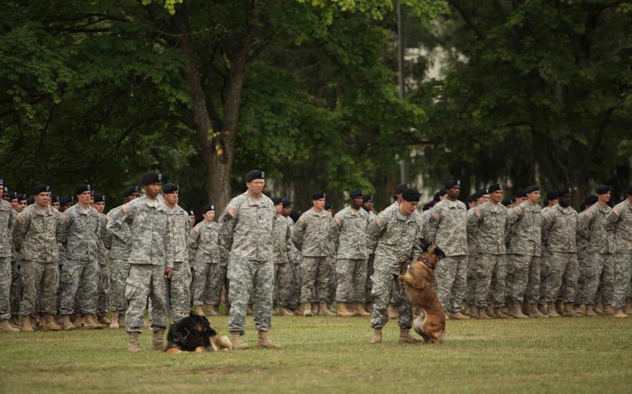A dog handler tries to calm his military working dog during a change of command ceremony Wednesday, June 24, 2015, for the 21st Theater Sustainment Command, the U.S. military's largest logistics unit in Europe.