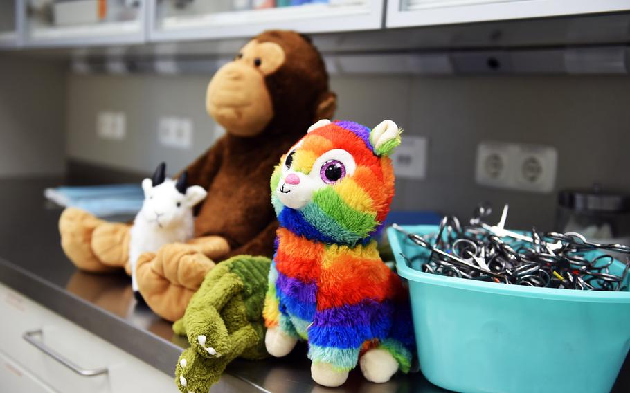 ''Patients'' wait in line at the teddy bear suture clinic in Vilseck, Germany, Wednesday, Aug. 28, 2019. Army veterinary technicians at the clinic practiced stitching up wounds on all types of stuffed animals, not just teddy bears.