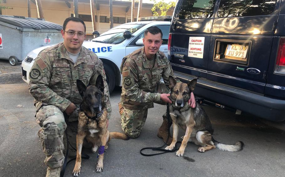 Staff Sgts. Antonio Gallegos, left, and Andrew T. Kraft, are pictured with their Belgian Malinois military working dogs, Diesel and Sky, respectively, on Friday, Sept. 20, 2019, at Ramstein Air Base, Germany.