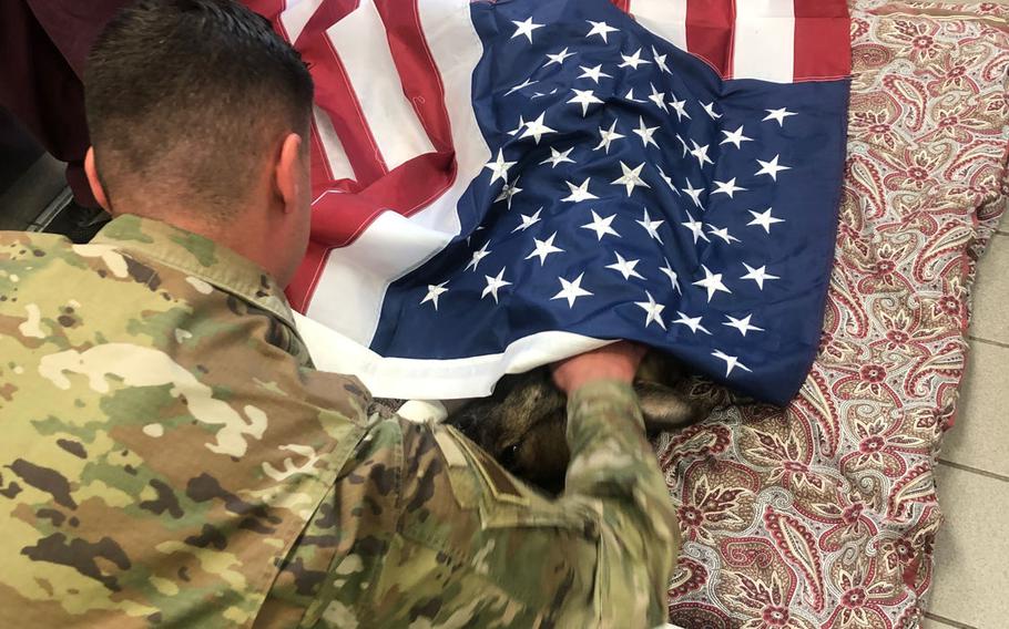 Staff Sgt. Andrew T. Kraft, a military working dog handler at Ramstein Air Base, Germany, says a final good-bye to his dog, Sky, on  Friday, Sept. 20, 2019. Five-year-old Sky had to be euthanized after developing terminal cancer.