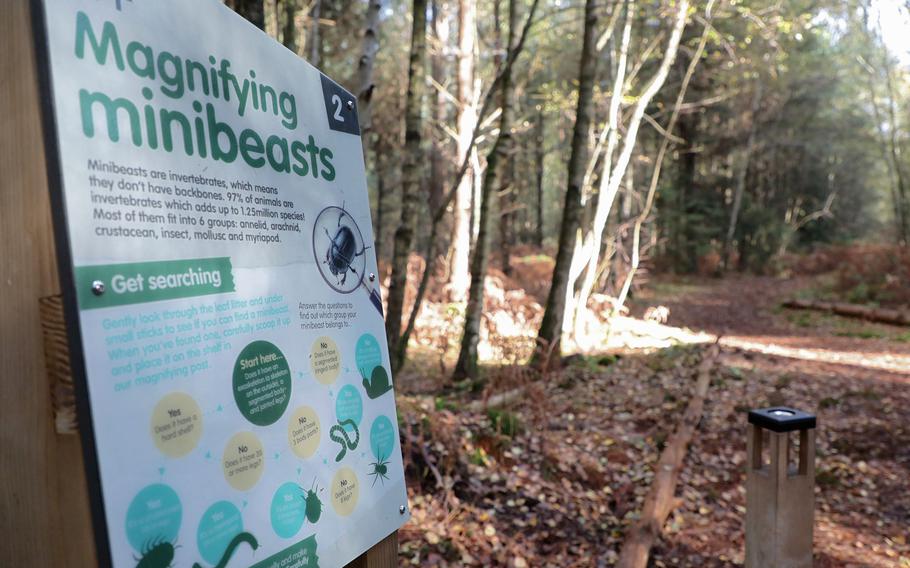 A sign advises park visitors about the insects that live in Thetford Forest at High Lodge Park, Oct. 29, 2019.