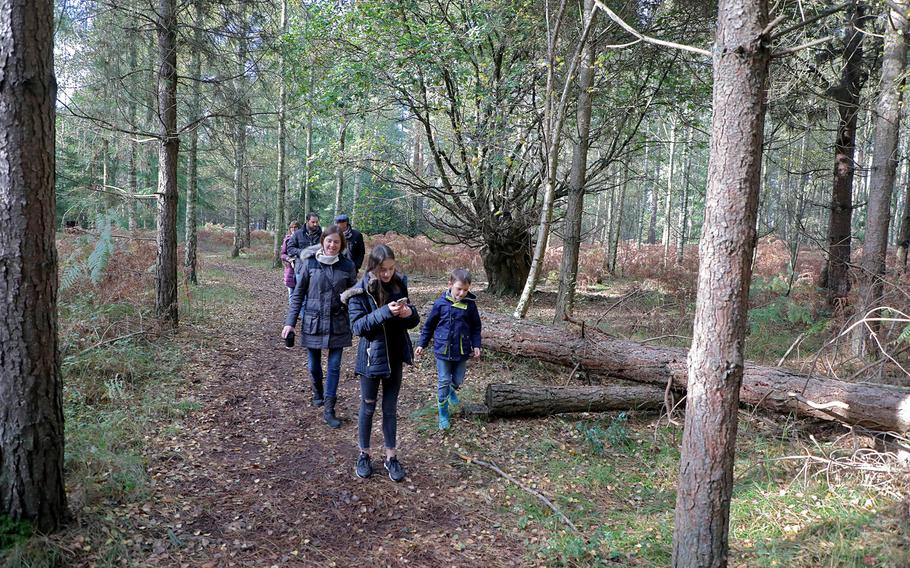 The Hall family walks through High Lodge Park in Thetford Forest, Oct. 29, 2019. Public Heath England has advised forest visitors to stay on paths and to cover up to reduce skin exposure to ticks.