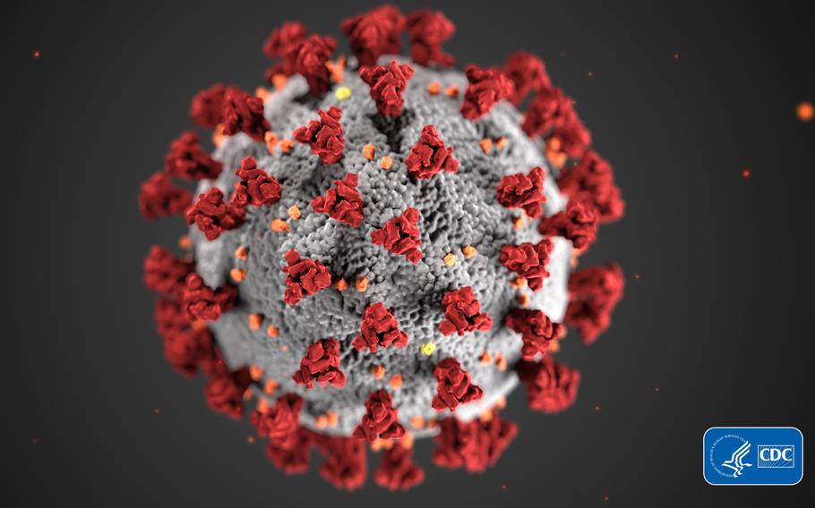 An illustration by the CDC reveals ultrastructural morphology exhibited by coronaviruses. U.S. bases in northern Italy entered a second week of school, day care and gym closures as the Italy's confirmed cases of the new coronavirus doubled over the weekend.