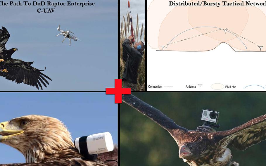 This slide from an April 2018 conference presentation at the Naval Postgraduate School illustrates how researchers were inspired to look into using live relay nodes for mesh networks, by combining concepts from research into grenade-launched network devices and the use of trained falcons against drones.