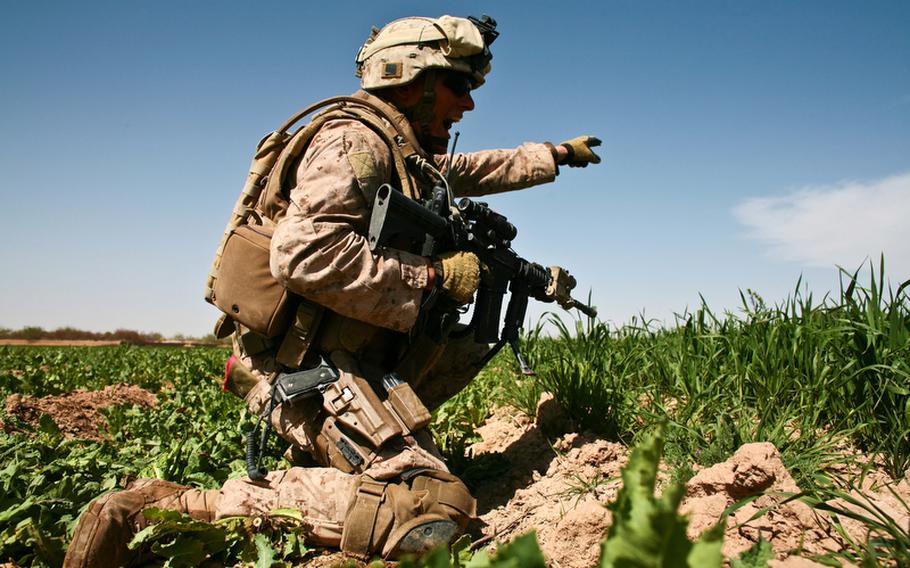 Staff Sgt. Christopher Whitman, 28, of Clearwater, Fla., points out the location of the Taliban position and yells for his men to start firing. March 11, 2010. 