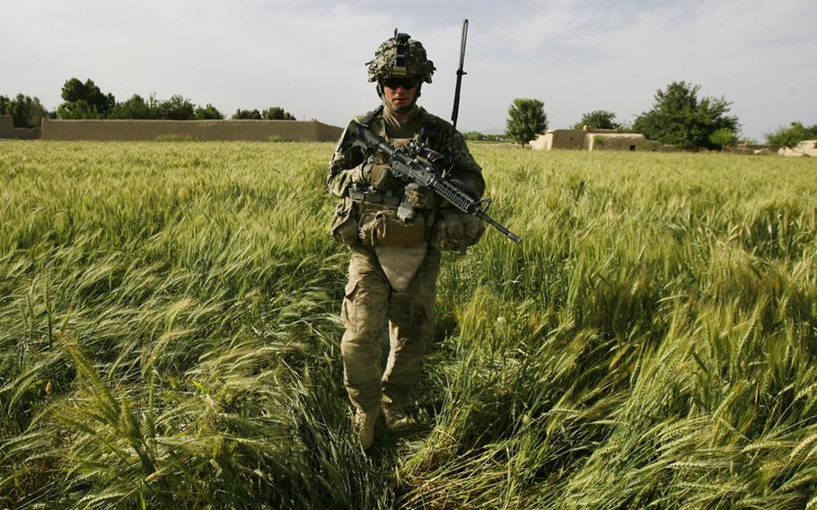 Sgt. Blaine Zimmerman walks through a wheat field during a mission near Strong Point Dennis at Combat Outpost Nalgham, on May , 2011.