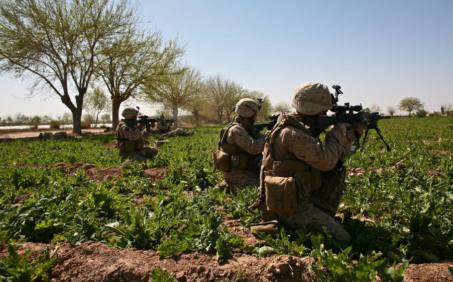 Kneeling in a field of poppy in Marjah District of Helmand province, in southern Afghanistan, Marines return fire against a Taliban machine gun position in March 2010. The 2010 effort was supposed to be a model of counterinsurgency strategy, but six years later, U.S. forces were back in Marjah working with Afghan forces to recapture it yet again.