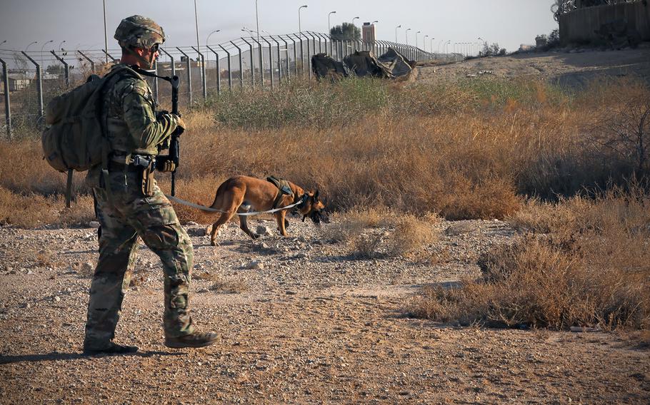 Polish engineer soldiers from Task Force Minecraft and a U.S. Military Working Dog Soldier assist a Base Operating Support Integrator engineer Soldier with base perimeter inspections at Al Asad Air Base, Iraq, Jan. 27, 2021. 