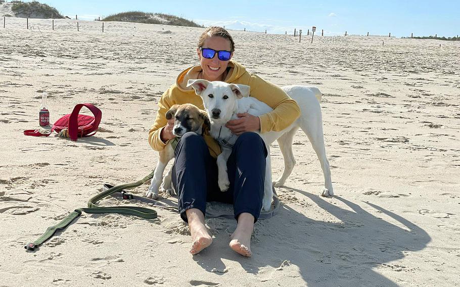 Staff Sgt. Katie Catania, an Army reservist, brought Charley, left, and Flea, right, back to the U.S. with her from Afghanistan. Catania said she was concerned about what would happen to the dogs.

