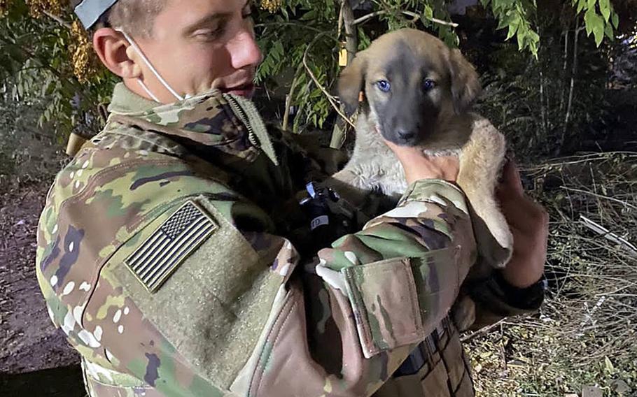 A soldier hugs a dog later brought from Afghanistan to America by Chief Warrant Officer 3 Stephanie Hall, a helicopter pilot. Hall was deployed to the base at Kabul’s airport until February 2021.

