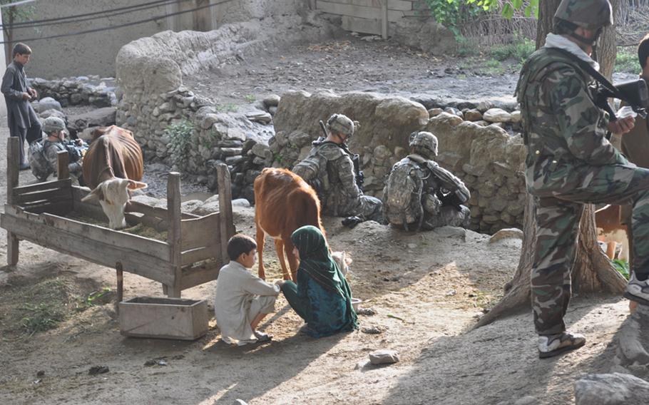 Young villagers in Kandagal, just across the Pech River from Combat Outpost Michigan, tend to their animals as U.S and Afghan soldiers  rest for a few minutes at the end of a patrol on July 21.