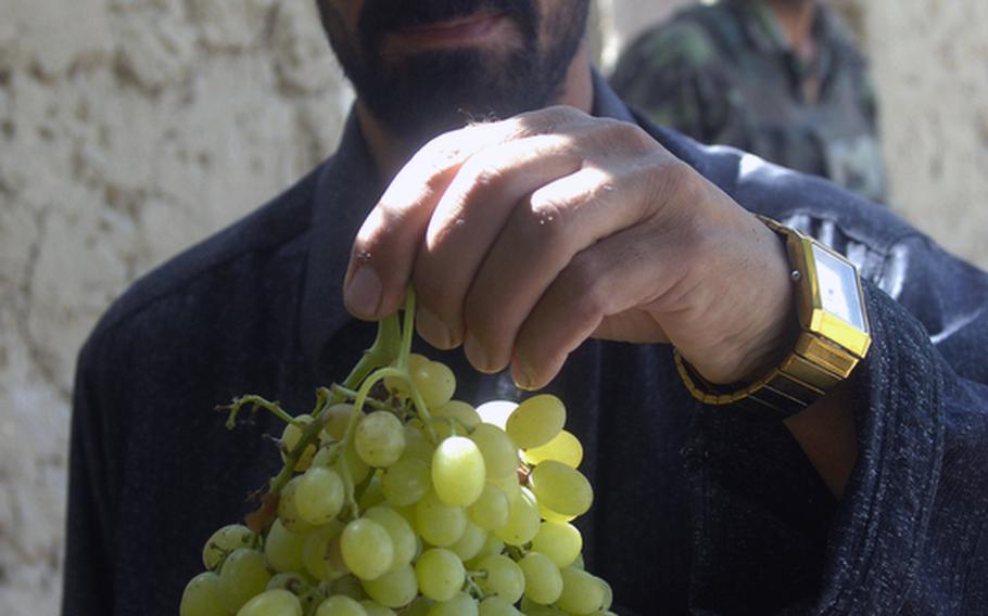 A Helal China resident shows off his grape harvest for American soldiers working there last week.