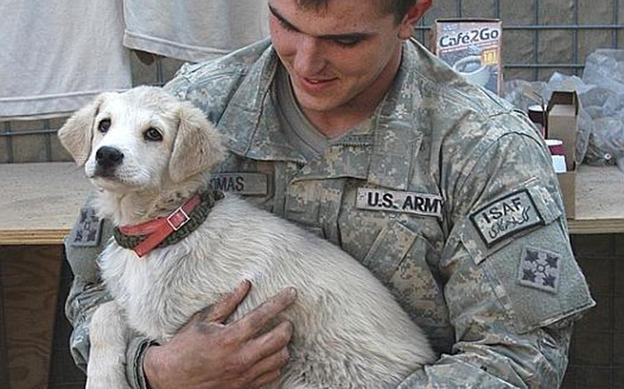 Pfc. Eddie Thomas holds Smoke, one of four stray dogs soldiers treat as pets at a U.S. Army base in the Arghandab District of southern Afghanistan.