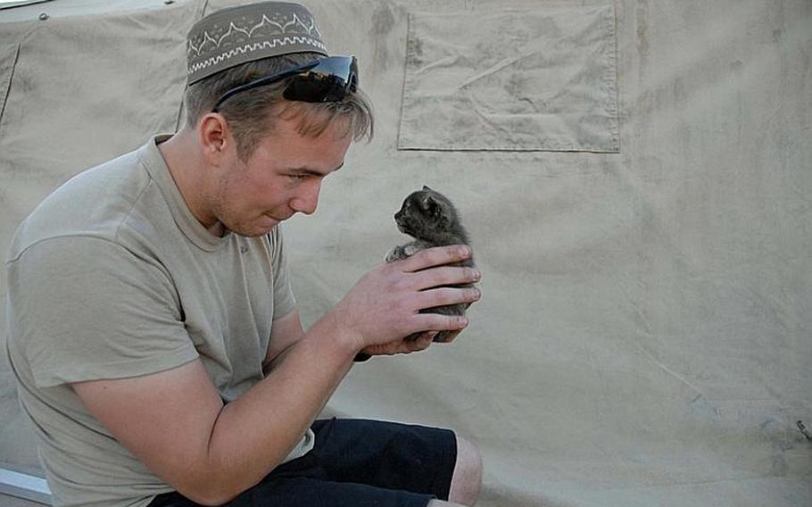 Canadian Cpl. Josh Sutton bonds with one of five kittens who made a home under his tent at FOB Edgerton in the Dand district of Kandahar Saturday (11/27/10). With only chocolate milk at the FOB, the soldiers fed the kittens tuna and hoped the young animals would be able to digest it.