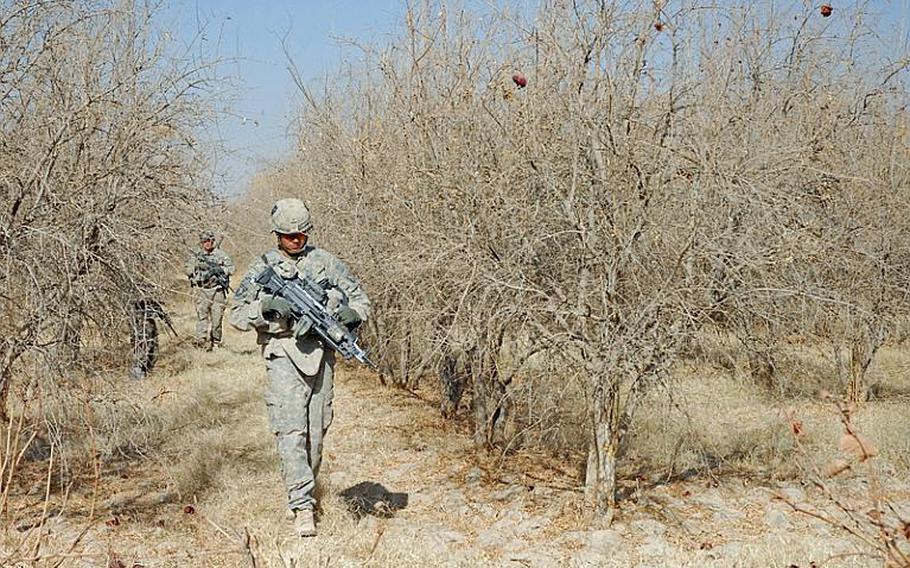 A 101st Airborne soldier patrols through the barren pomegranate fields in the Zhari district of Kandahar in December. The insurgents desert this area each year when the leaves fall off the trees, taking away the dense foliage they use for cover in the summer. This makes it hard for the military to judge the success of their massive clearing campaign this fall.