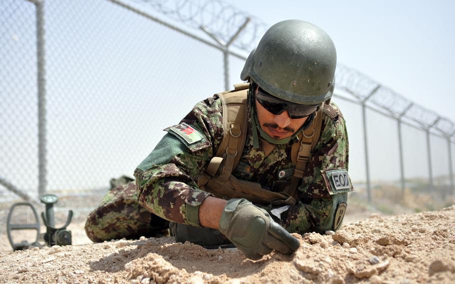 Afghan Lt. Omed Khan looks for signs of a bomb during a training course at Forward Operating Base Eagle in Zabul province, Afghanistan. Khan's unit has been training once a week since December in preparation to take over control of such missions in Zabul after coalition troops leave Afghanistan in 2014. Khan is an explosive ordnance disposal team leader with the 2nd Brigade, 205th Core, Route Clearance Company of the Afghan National Army.