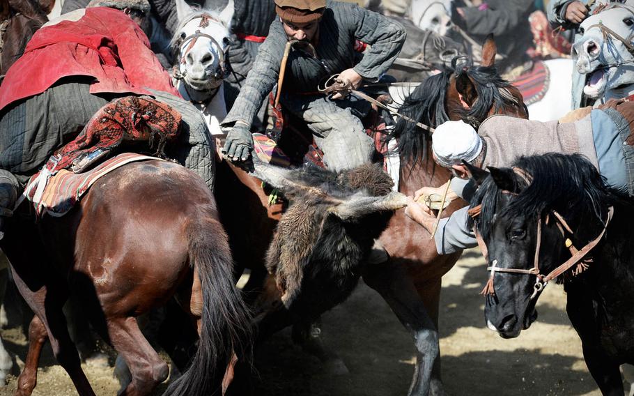 Riders struggle over a decapitated and disemboweled calf carcass during a buzkashi match in Kabul on Thursday, Jan. 15, 2015. The game is played across Central Asia but has special prominence in Afghan culture.