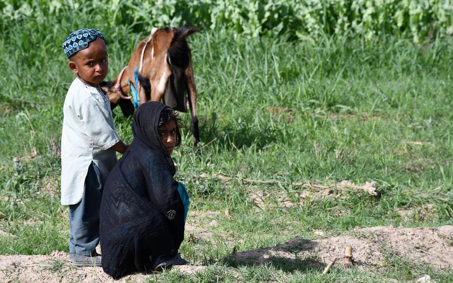 Two children look after animals in Afghanistan's southern Kandahar province in April 2019. The Afghan War remains the world's deadliest conflict for children, according to a United Nations report released June 15, 2020.