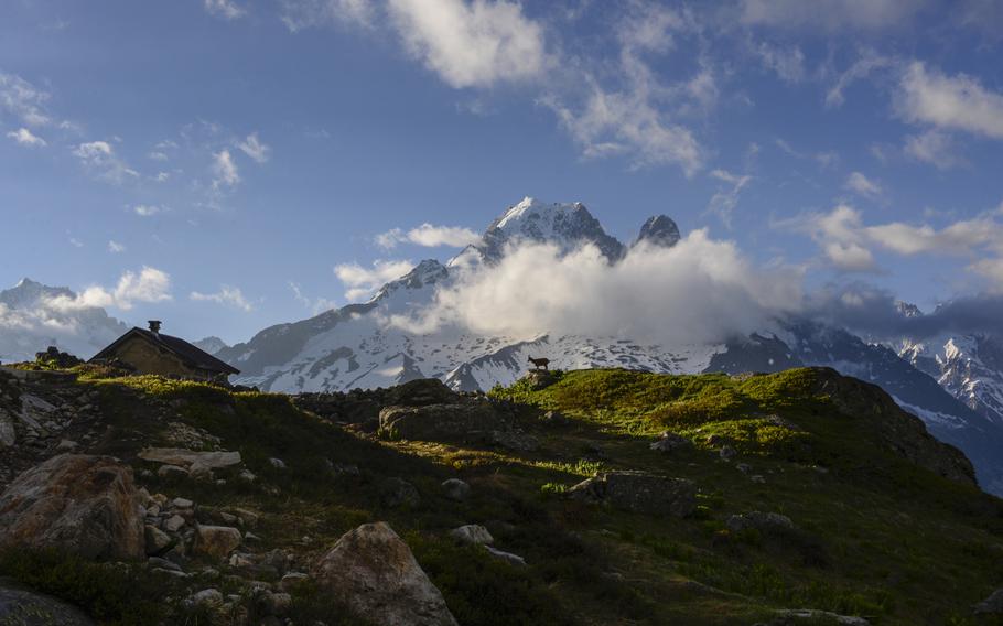 An alpine Ibex and the Chalet des Cheserys are dwarfed by the Aguille Verte in the background. The Chamonix Valley sits below.

